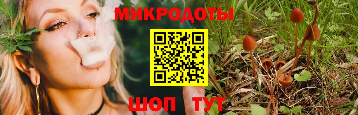 Галлюциногенные грибы Psilocybine cubensis  наркотики  Вход с VPN  Сокол  Псилоцибиновые грибы Magic Shrooms 